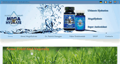 Desktop Screenshot of megahydrate.eu